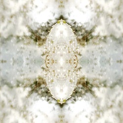 Apulian Compass