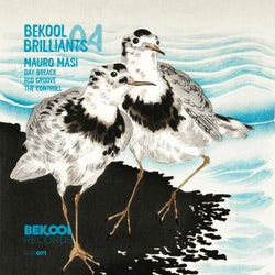 Bekool Brilliants 04