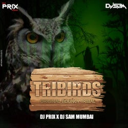 TriBirds (Original Bouncy Tribal) [feat. Dj Sam Mumbai]