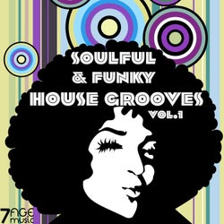 Soulful & Funky House Grooves, Vol. 1