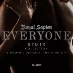 Everyone Remixes Collection