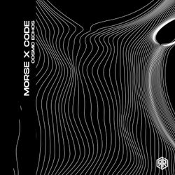 Cosmic Echos