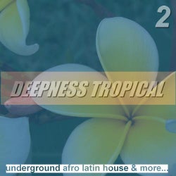 Deepness Tropical 2: Underground Afro Latin House & More