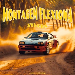 MONTAGEM FLEXIONA