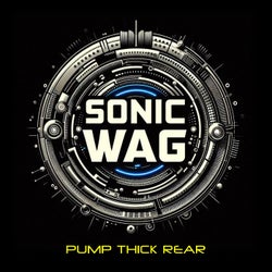 Pump thick rear