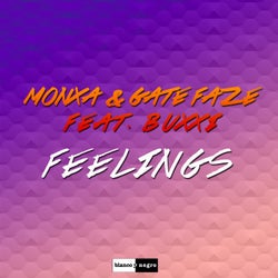 Feelings (feat. Buxxi)