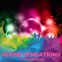 House Sensations (25 Cool Grooves)