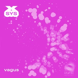 Vagus