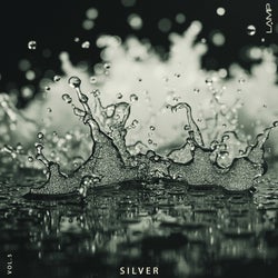 Silver, Vol. 5