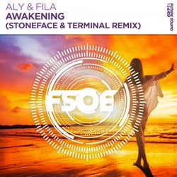 Awakening (Stoneface & Terminal Remix)