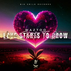 WazToo - Love Starts To Grow - Top 10 Charts