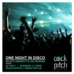 One Night In Disco