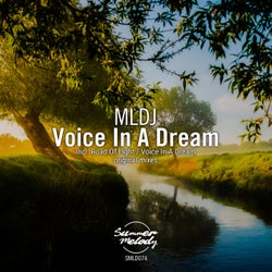 Voice in a Dream