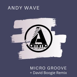 Micro Groove