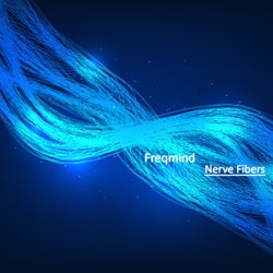 Nerve Fibers
