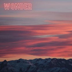 Wonder