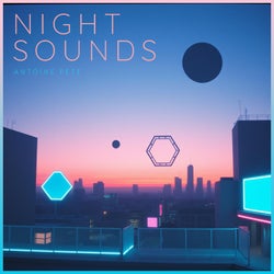 Night Sounds