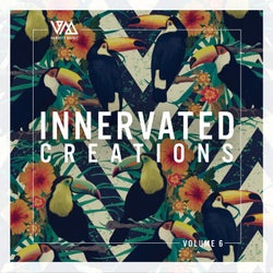 Innervated Creations Vol. 6