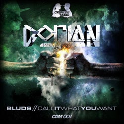Bluds / Call It Want You Want