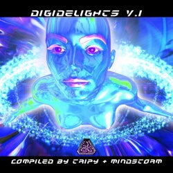 DigiDelights – Volume 1 Compiled By Mindstorm & Tripy