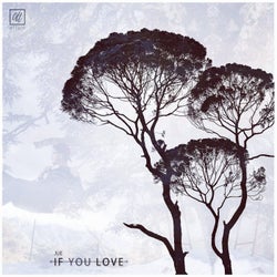 If You Love