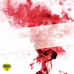 Steve de Boah Charts January 2015