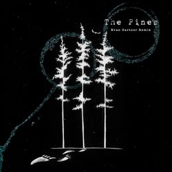 The Pines (Evan Gartner Remix)