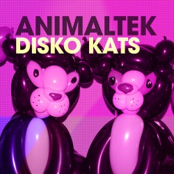 Disko Kats