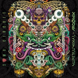 Soma Circuit