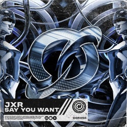Say You Want