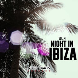 Night in Ibiza, Vol. 4