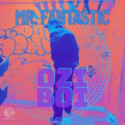 Mr Fantastic