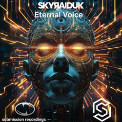 SKYRAID TOP 10