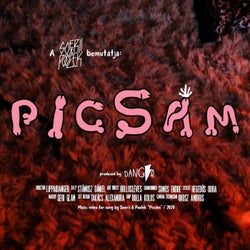 Picsam