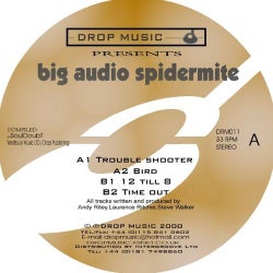Big Audio Spidermite