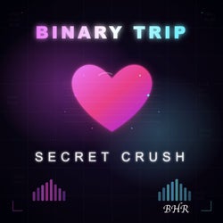 Secret Crush