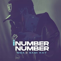 iNumber Number (feat. Sami Kay)