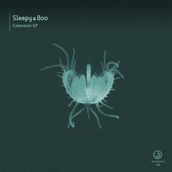Extension EP
