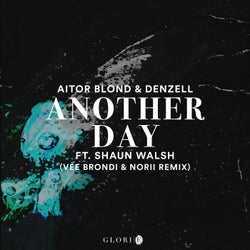Another Day (Vee Brondi, NORII Remix)
