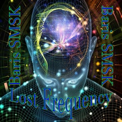 Lost Frequency