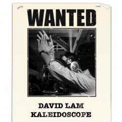 David Lam Kaleidscope Dec 2014 Selection #W2