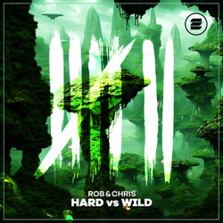 Hard vs. Wild (Extended Mix)