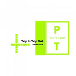 Trip In Trip Out
