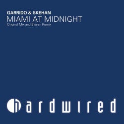Miami At Midnight