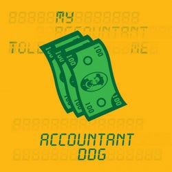 Accountant