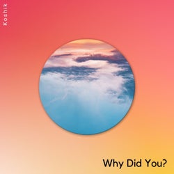 Why Did You?