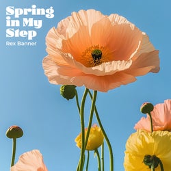 Spring in My Step