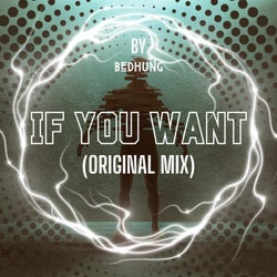 If You Want (Original Mix)