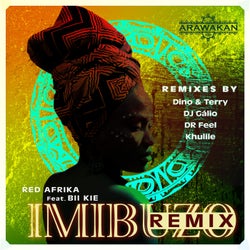 Imibuzo - Remix