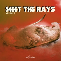 Meet The Rays EP, Vol.2